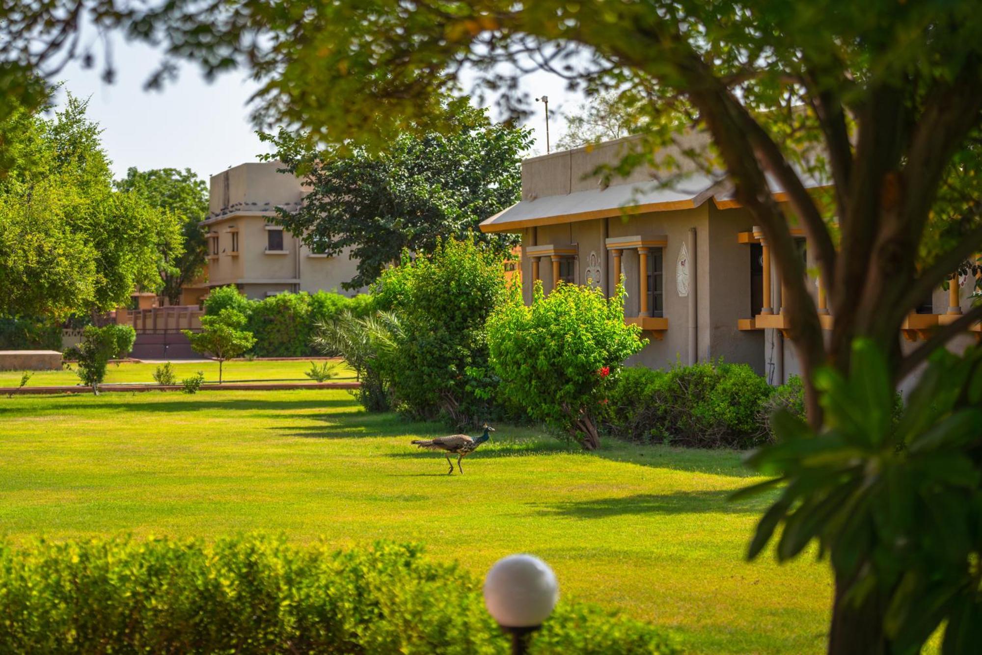 Thar Oasis Resort And Camp Dechu Buitenkant foto